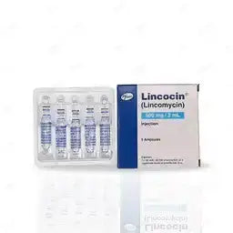 Lincomycin Injection 600mg/2ml – Severe Bacterial Infection Treatment 5's